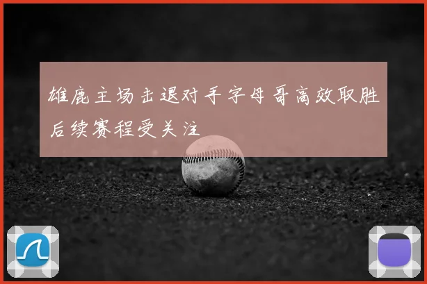 雄鹿主场击退对手字母哥高效取胜后续赛程受关注